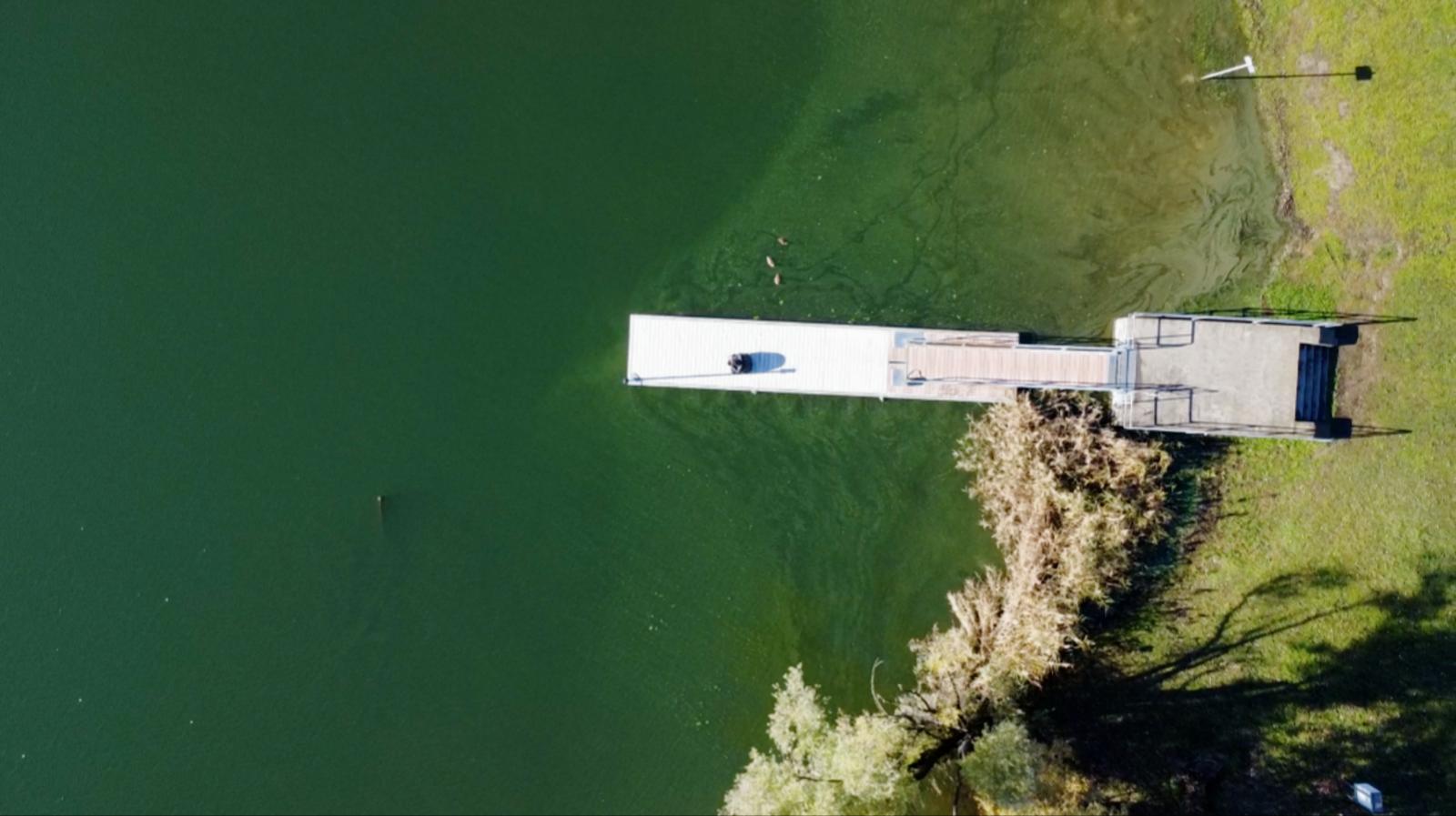 Lago & Pontile